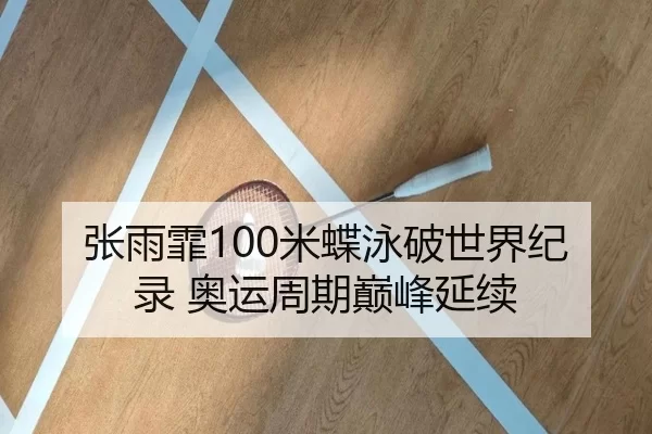 张雨霏100米蝶泳破世界纪录 奥运周期巅峰延续