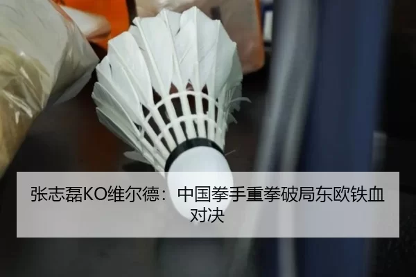 张志磊KO维尔德：中国拳手重拳破局东欧铁血对决